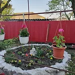 Pensiune Casa Cu Foisor 3*