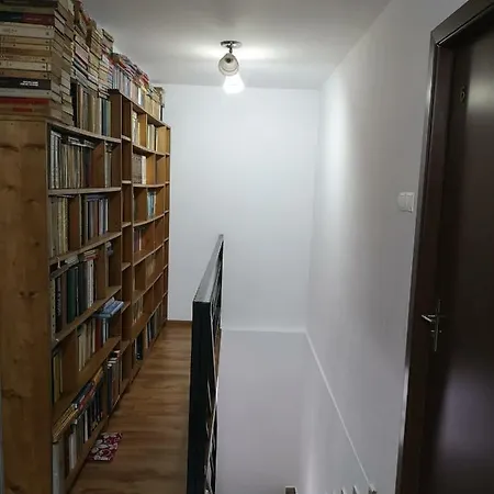 Casa Cu Foisor エフォリエ・ノルド