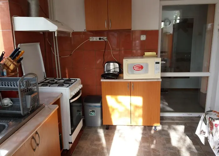 招待所 Casa Cu Foisor