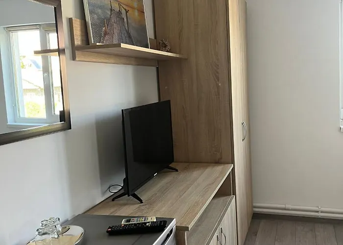 Casa Cu Foisor 招待所 3*