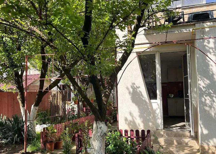 Casa Cu Foisor 招待所