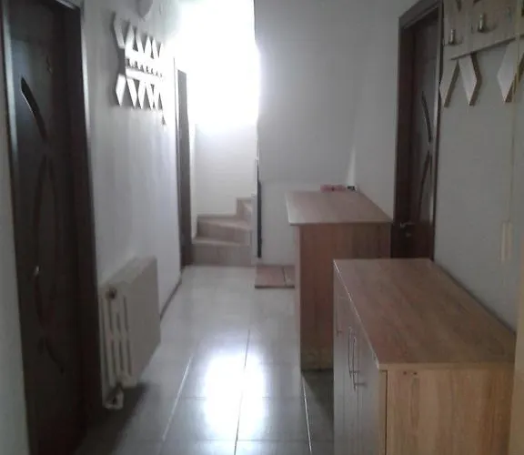 招待所 Casa Cu Foisor 3*