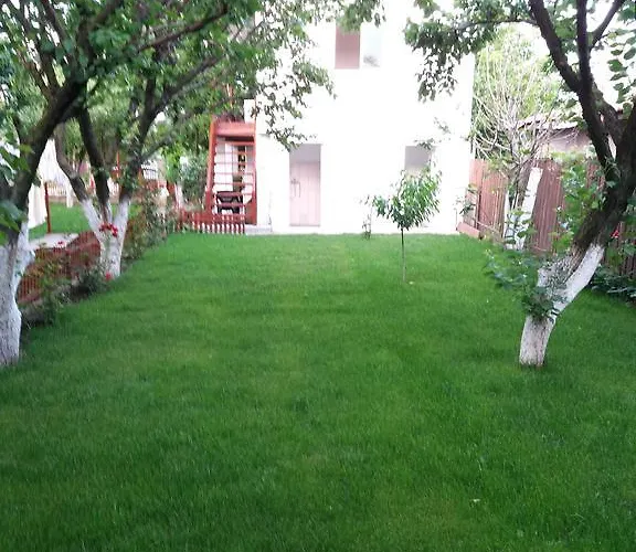 招待所 Casa Cu Foisor 艾福雷诺德