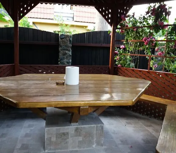 招待所 Casa Cu Foisor 3*