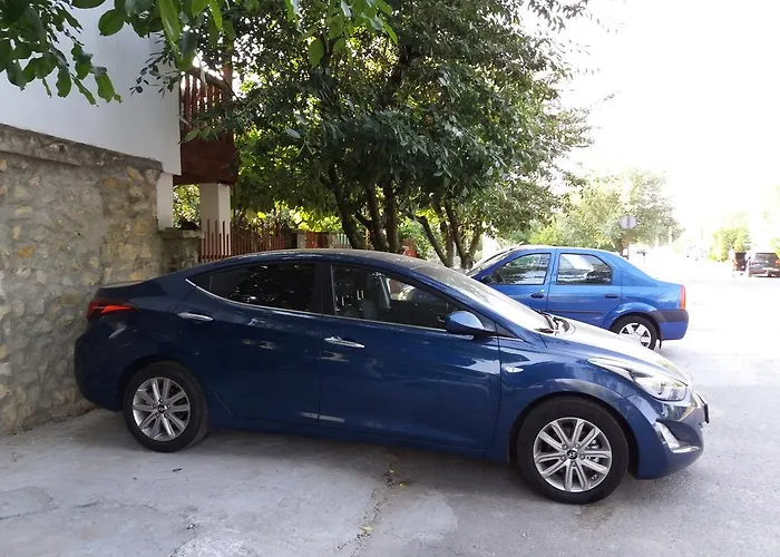 Casa Cu Foisor 招待所 3*