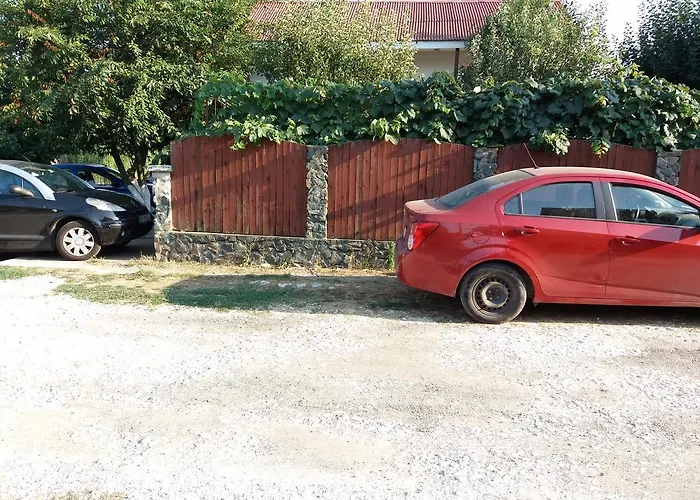 Casa Cu Foisor 招待所 艾福雷诺德