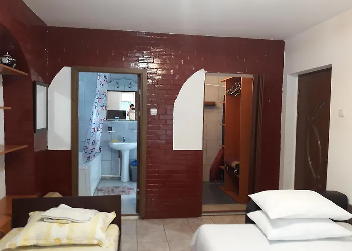 Casa Cu Foisor 招待所 3*