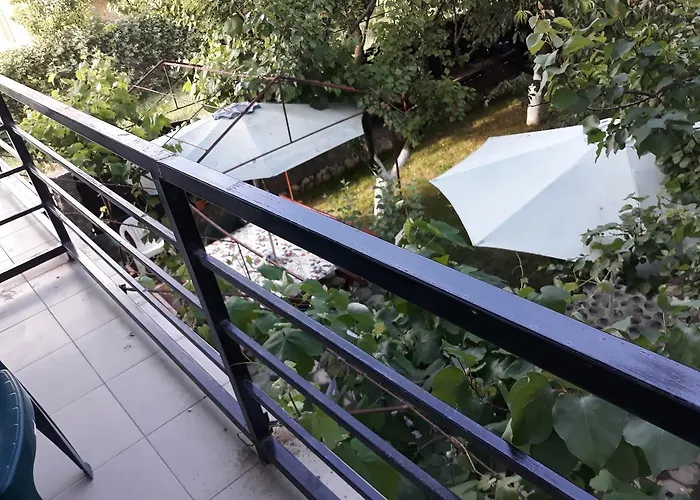 Casa Cu Foisor 招待所