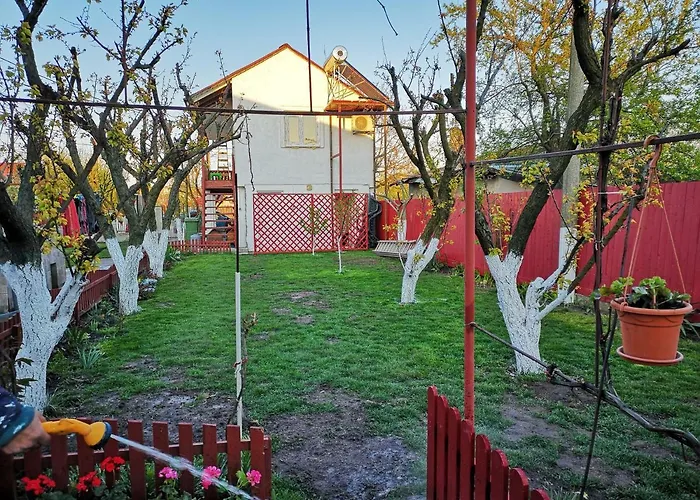 Casa Cu Foisor 招待所 3*