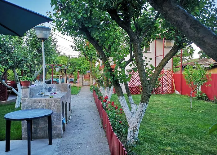 Casa Cu Foisor 招待所