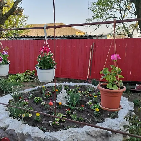 בית הארחה Casa Cu Foisor 3*