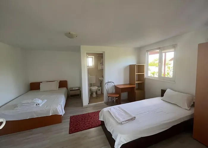 Casa Cu Foisor Gæstehus