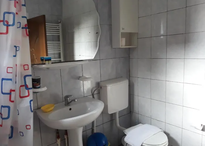 Casa Cu Foisor Gæstehus