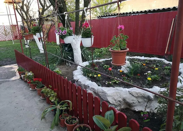 Casa Cu Foisor Gæstehus