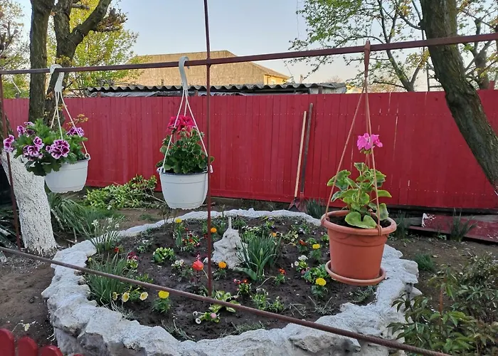 Gasthuis Casa Cu Foisor 3*